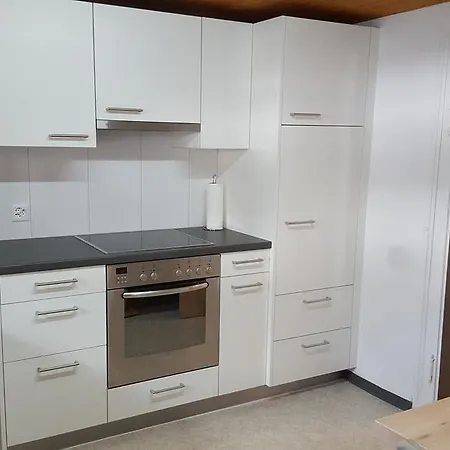 Apartment Alpen-fewo, La Gassa 3 Flims